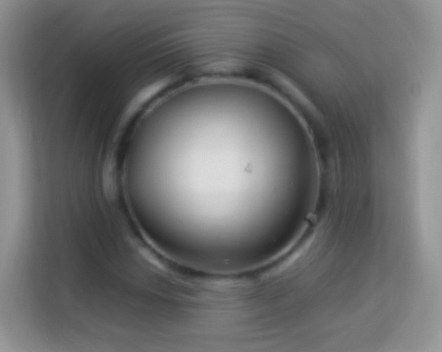 X0000113991018200910091334