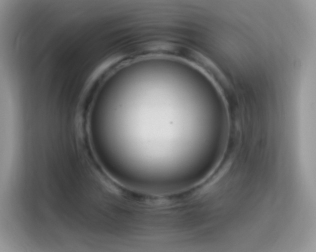 X0000113991019200910091334