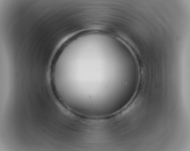 X0000113991020200910091334