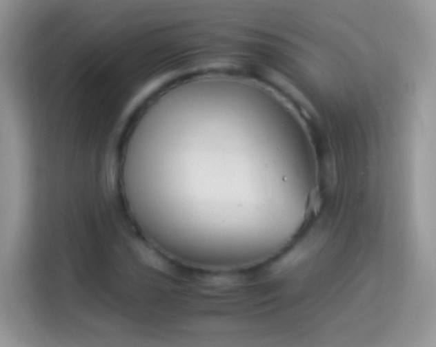 X0000113991021200910091334