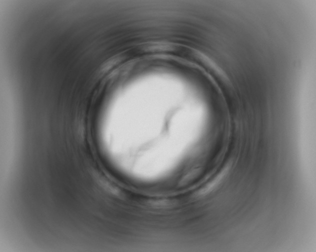 X0000113991025200910091334