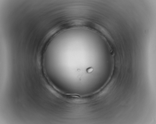 X0000113991026200910091334