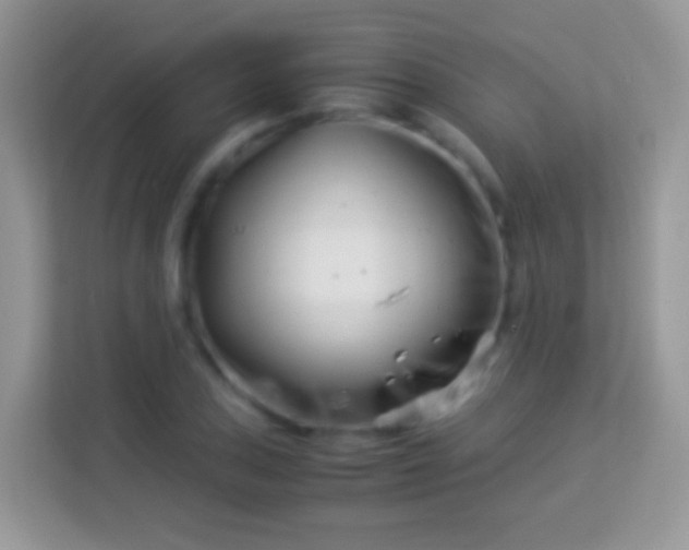 X0000113991027200910091334