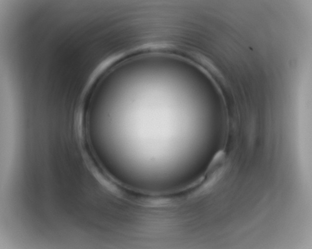 X0000113991030200910091334