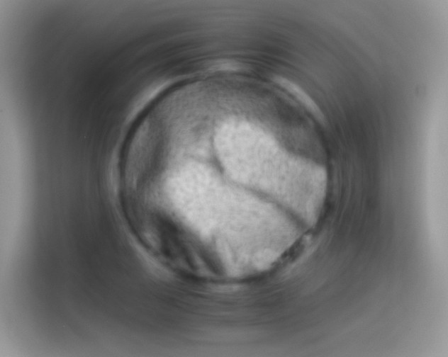 X0000113991031200910091334