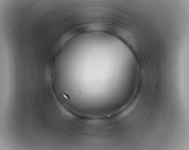 X0000113991033200910091334