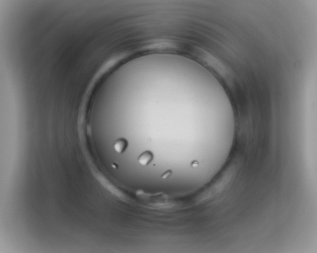 X0000113991037200910091334