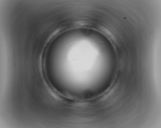 X0000113991039200910091334