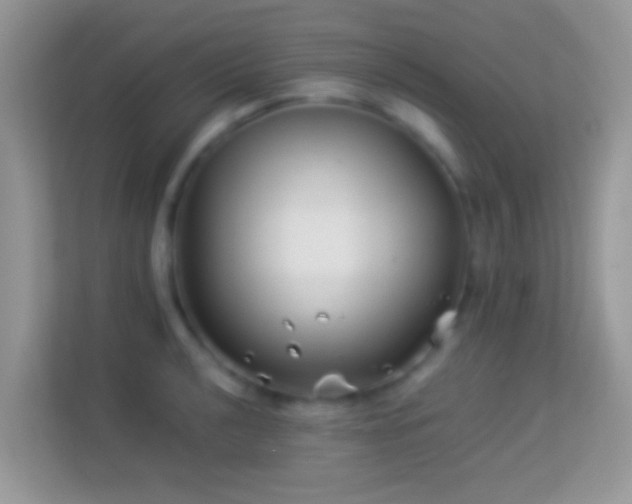 X0000113991040200910091334