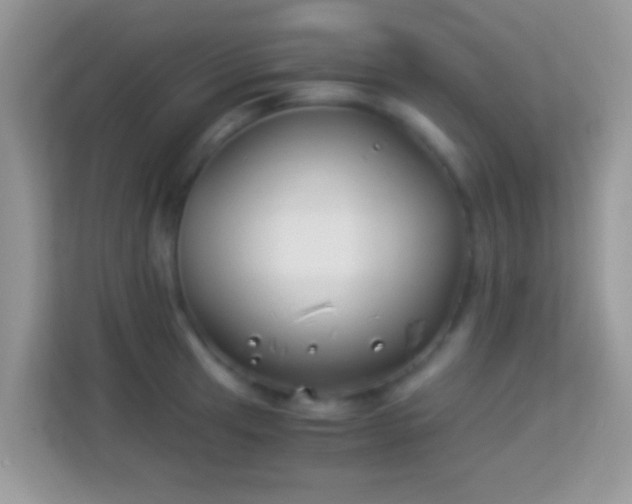 X0000113991041200910091334