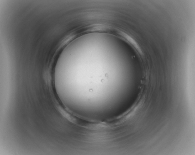 X0000113991042200910091334