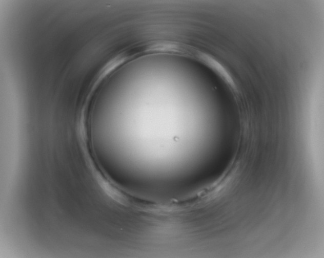 X0000113991050200910091334