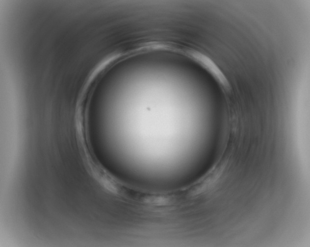 X0000113991051200910091334