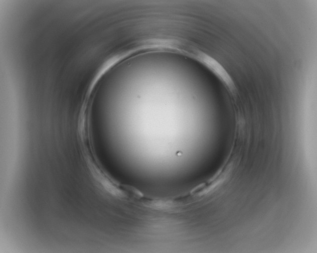 X0000113991052200910091334