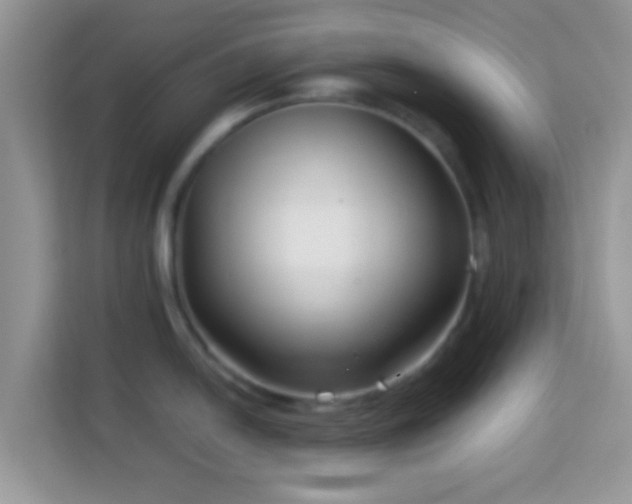 X0000113991054200910091334