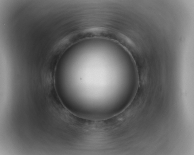 X0000113991062200910091334