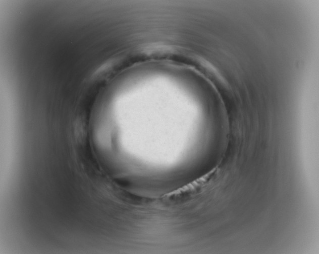 X0000113991063200910091334