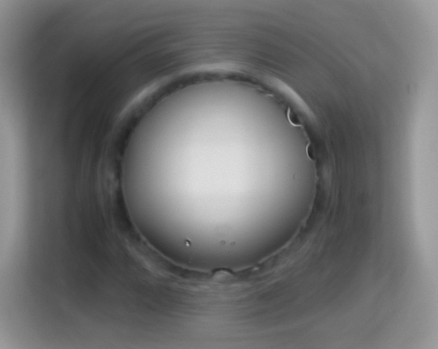 X0000113991064200910091334