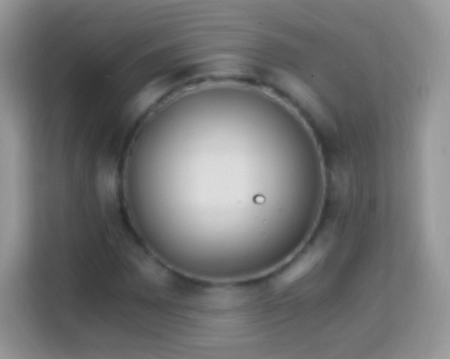 X0000113991065200910091334