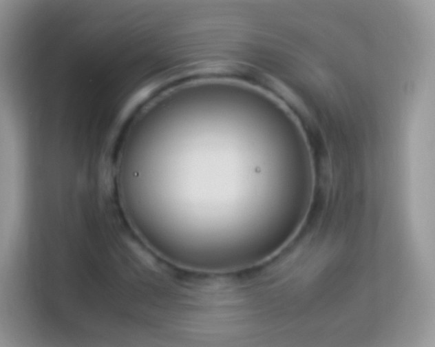 X0000113991067200910091333