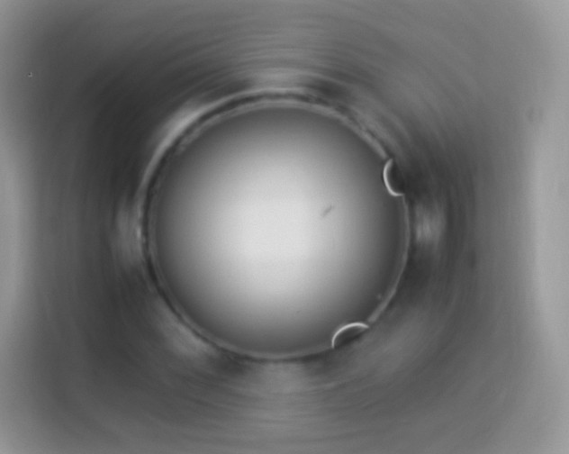 X0000113991068200910091333