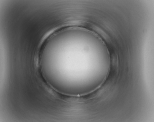 X0000113991069200910091333