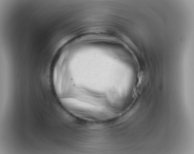 X0000113991071200910091333