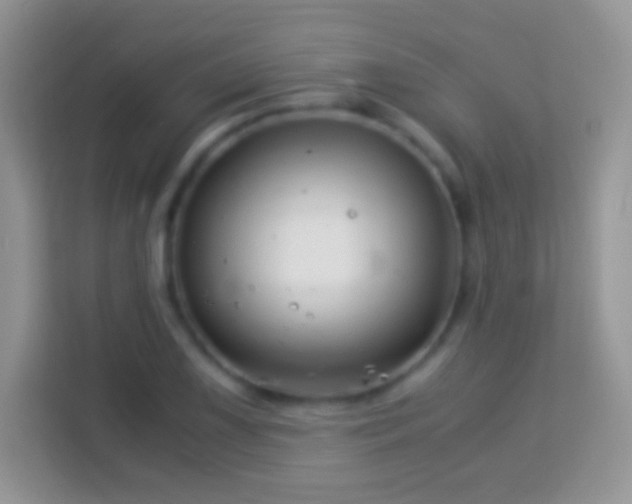 X0000113991075200910091333