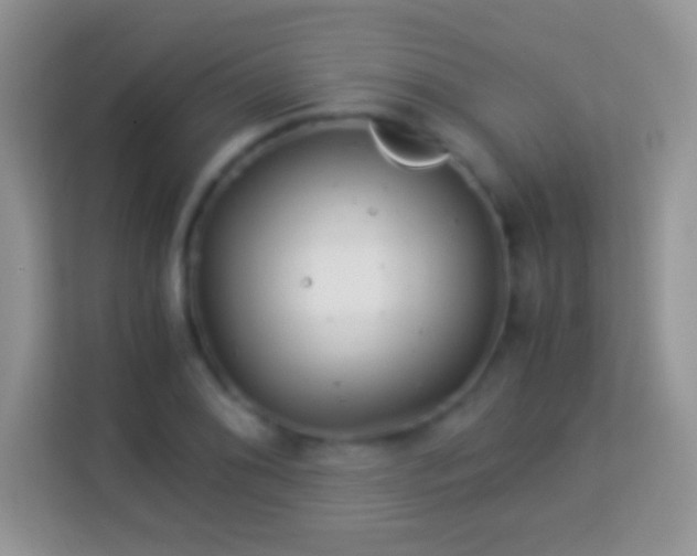 X0000113991076200910091333