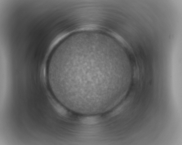 X0000113991078200910091333