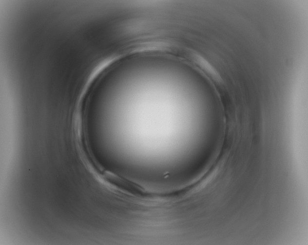 X0000113991079200910091333