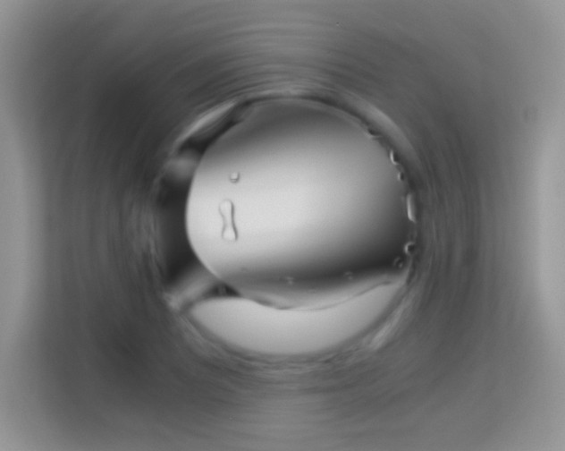 X0000113991081200910091333