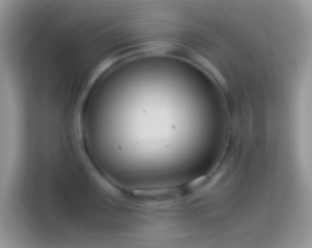 X0000113991083200910091333