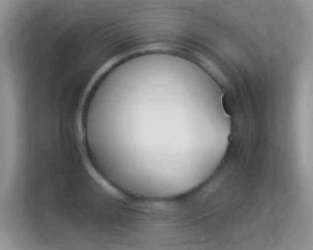 X0000113991084200910091333