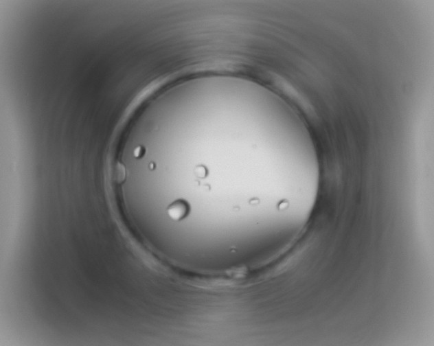 X0000113991085200910091333