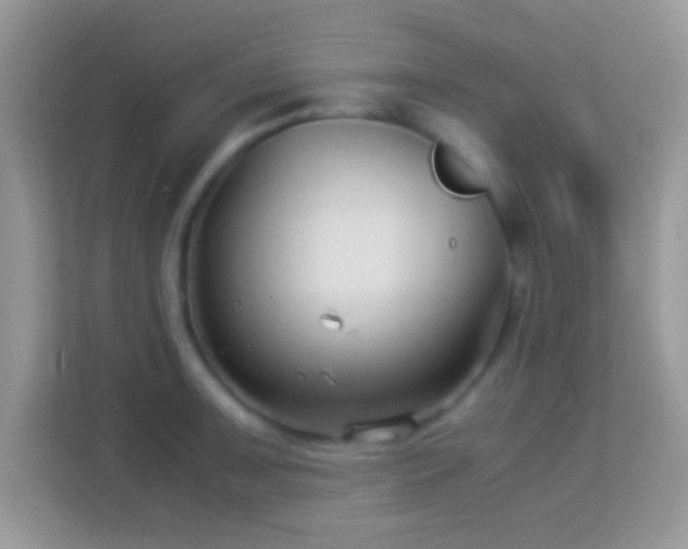 X0000113991091200910091333