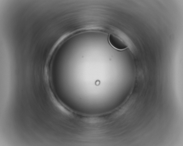 X0000113991092200910091333