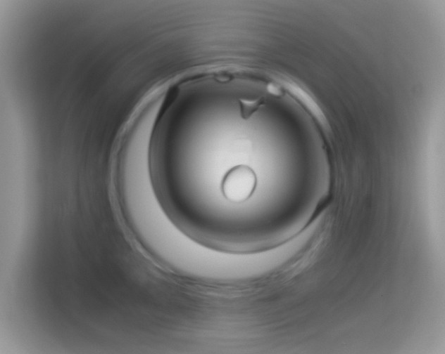 X0000113991093200910091333