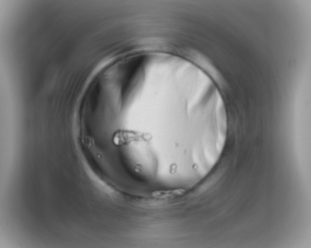 X0000113991095200910091333