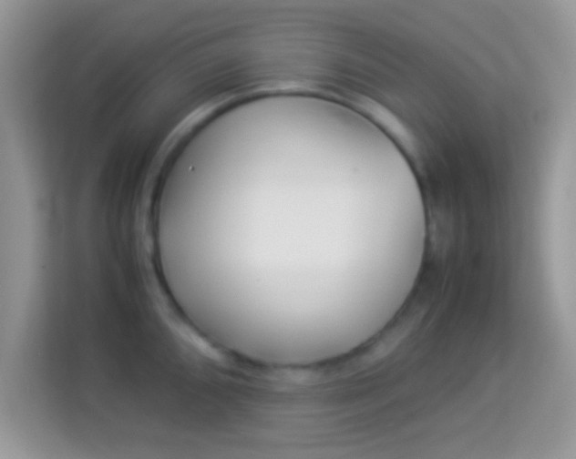 X0000113991096200910091333