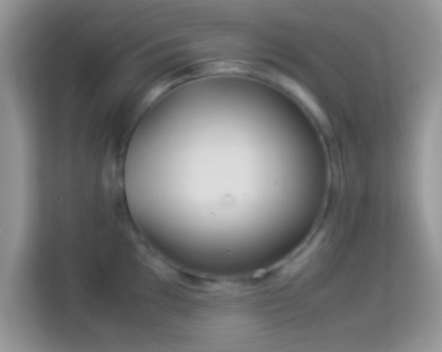 X0000113991097200910091333