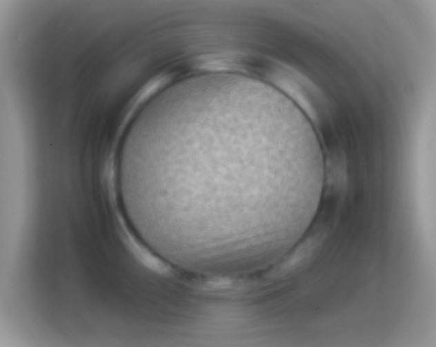 X0000113991098200910091333