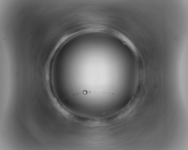 X0000113991099200910091333