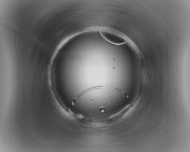 X0000113991102200910091333