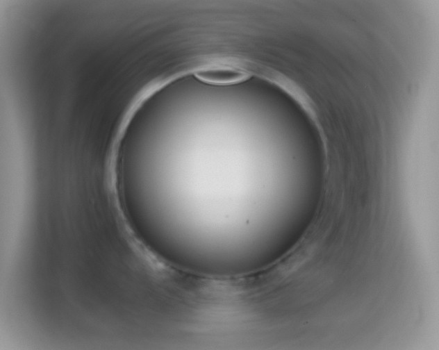 X0000113991104200910091333