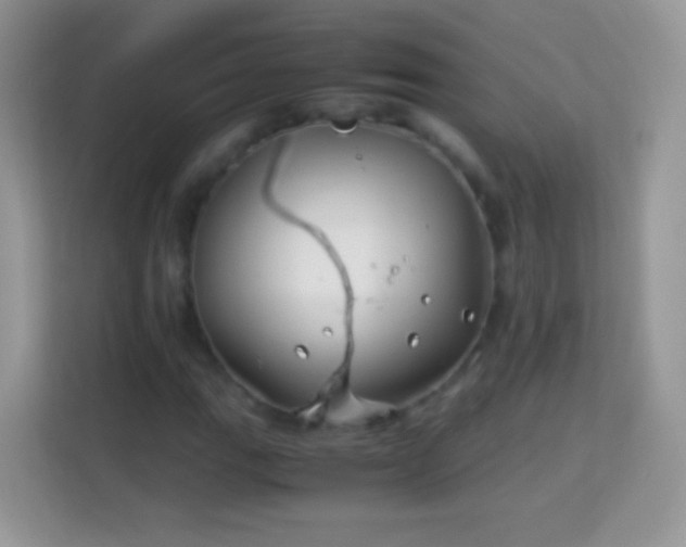 X0000113991111200910091332