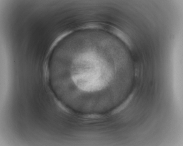 X0000113991117200910091333