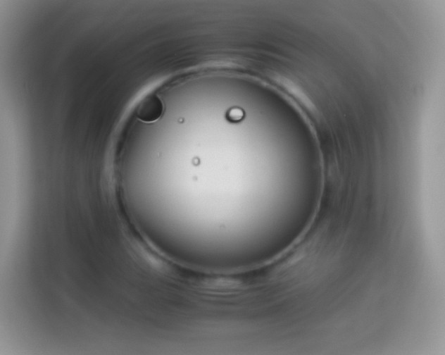 X0000113991119200910091333