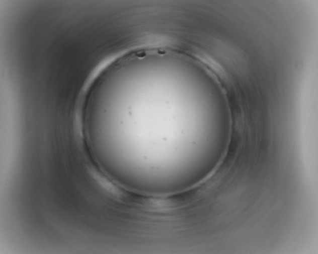 X0000113991120200910091333