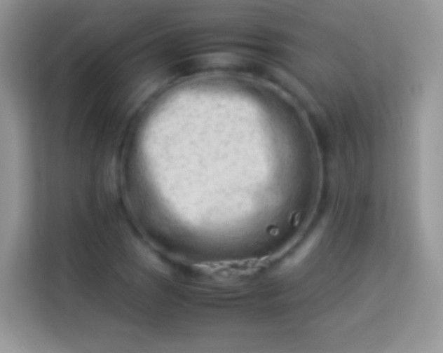 X0000113991121200910091333